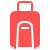Luggage Transfer